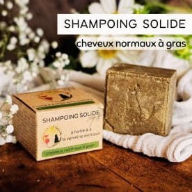 Shampoing solide qui mousse - normaux à gras 100G