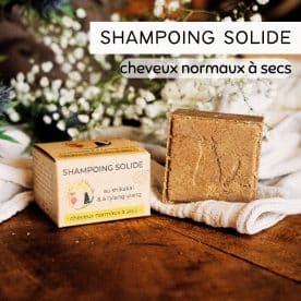 Shampoing solide qui mousse - normaux à secs 100G